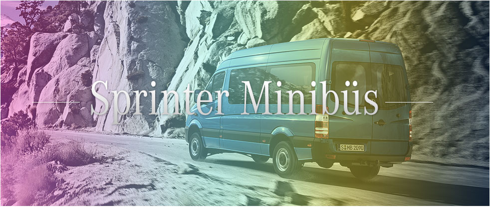 Sprinter Minibüs