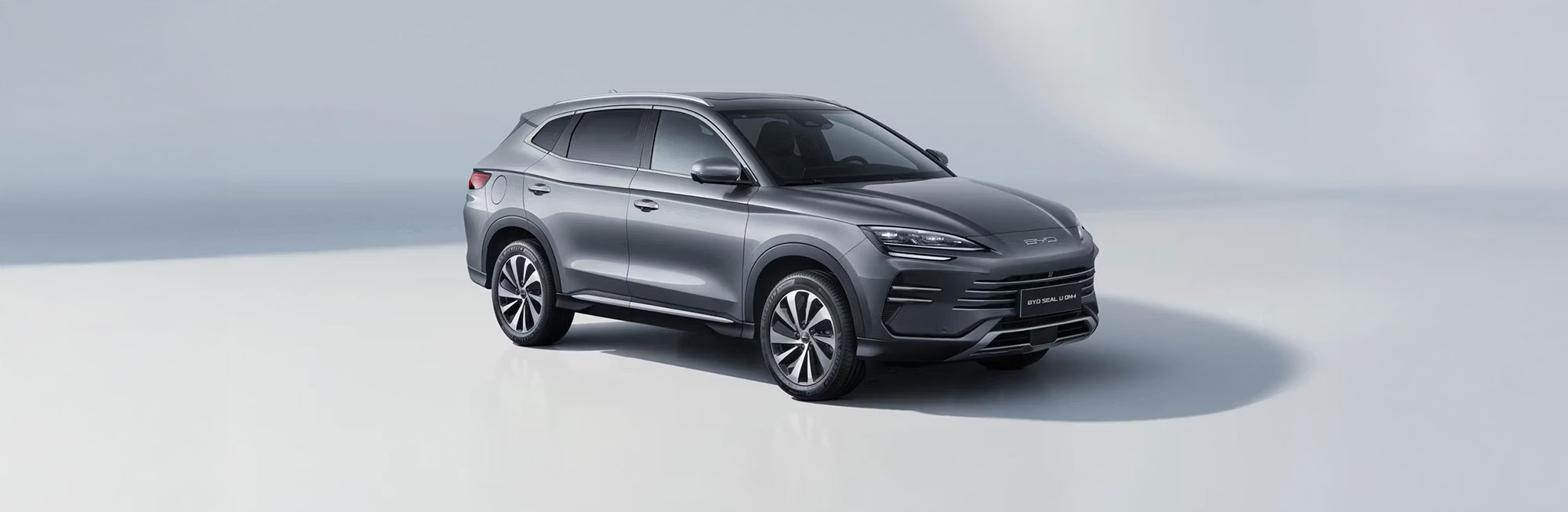 BYD Mengerler İzmir